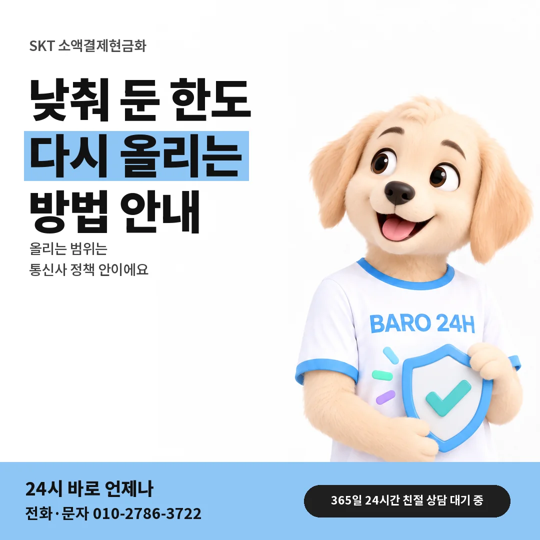 BARO 24H 티셔츠를 입은 3D 동물 캐릭터 옆에 「SKT 설정 한도 올리기」 제목을 얹은 안내 카드